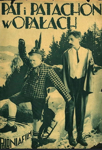 Póster de Schwiegersöhne