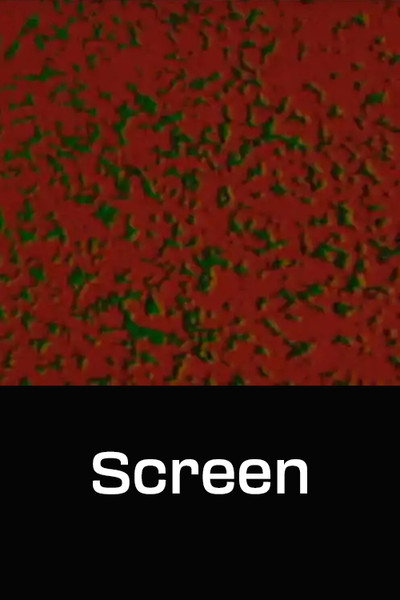 Póster de Screen