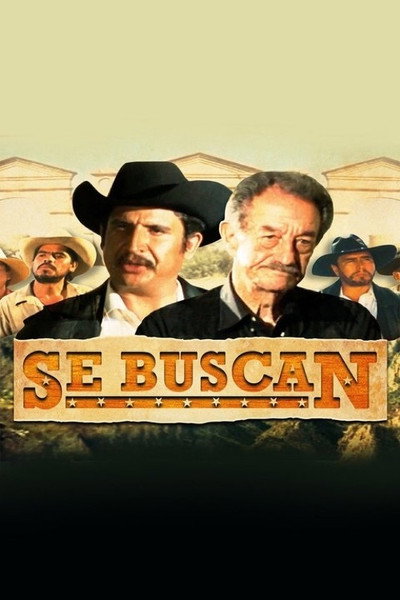 Póster de Se buscan