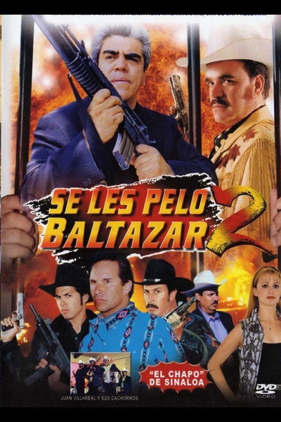 Póster de Se les pelo Baltazar 2
