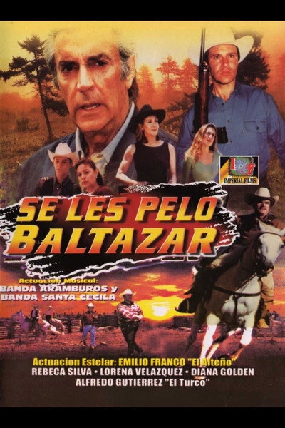 Póster de Se les pelo Baltazar
