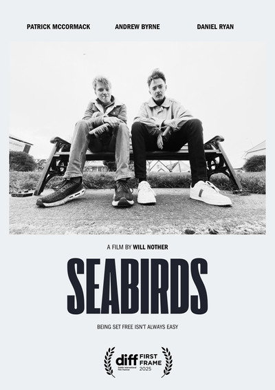 Póster de Seabirds