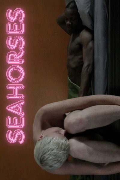 Póster de Seahorses