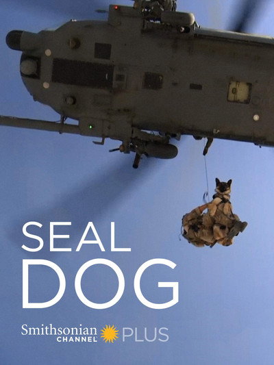 Póster de SEAL Dog
