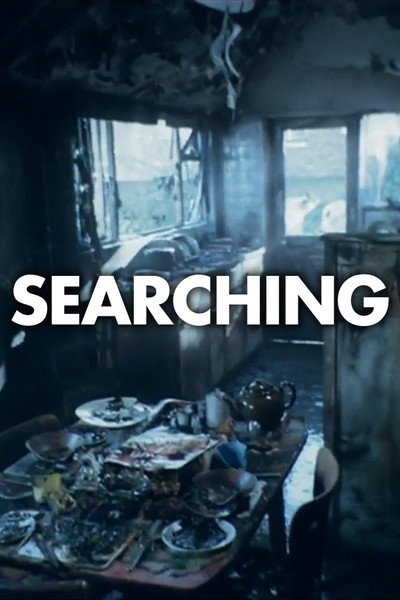 Póster de Searching