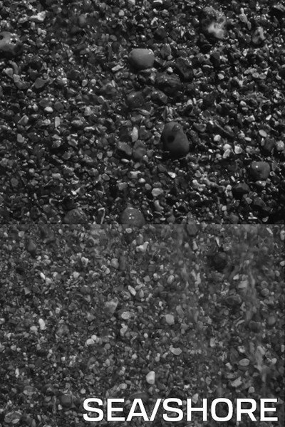 Póster de Sea/Shore