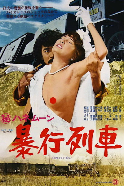 Póster de Secret Honeymoon: Rape Train