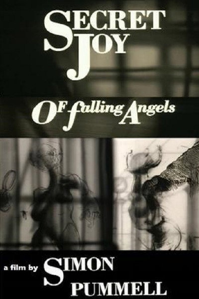 Póster de Secret Joy of Falling Angels