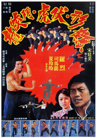 Póster de Secret of the Chinese Kung Fu