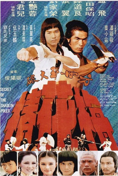 Póster de Secret of the Shaolin Poles