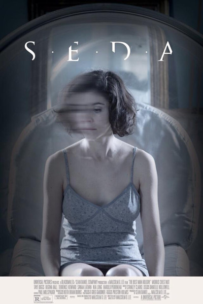 Póster de Seda