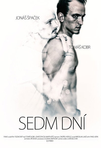 Póster de Sedm dní
