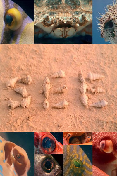 Póster de See