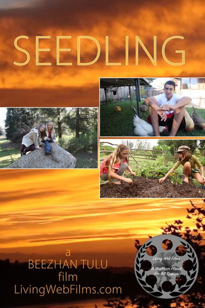 Póster de Seedling