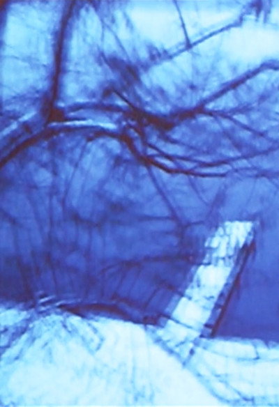 Póster de Seelig