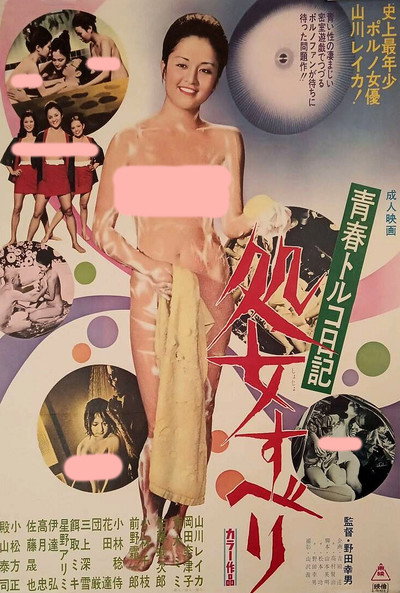 Póster de Seishun Toruko nikki: Shojo suberi