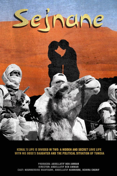 Póster de Sejnane