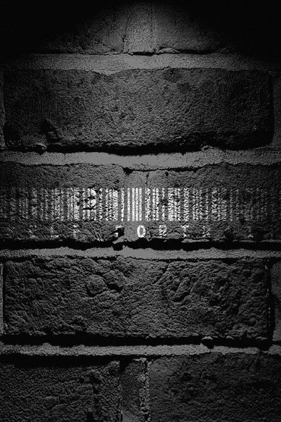 Póster de Self Portrait