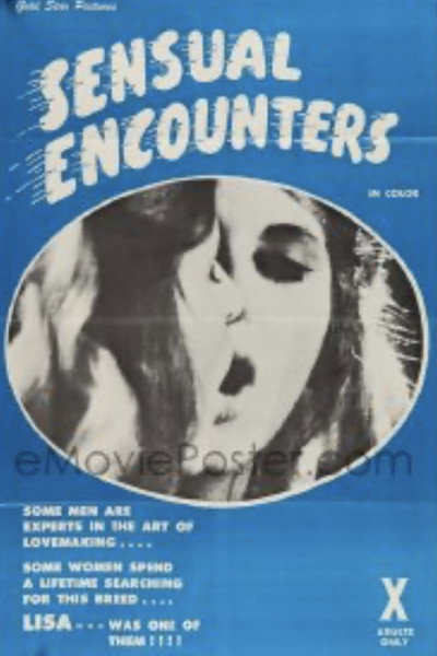 Póster de Sensual Encounters