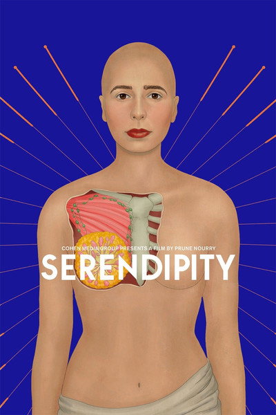 Póster de Serendipity