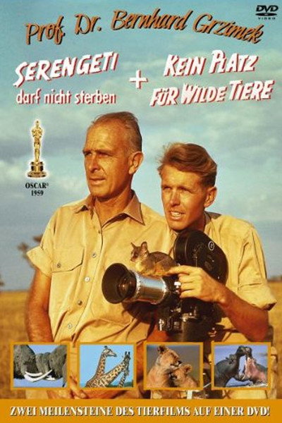 Póster de Serengeti darf nicht sterben
