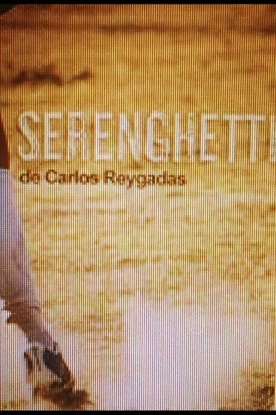 Póster de Serenghetti