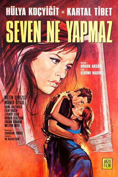 Póster de Seven Ne Yapmaz