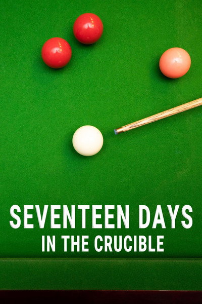 Póster de Seventeen days in the Crucible