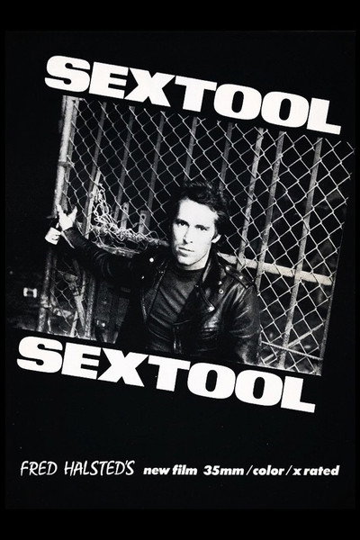 Póster de Sextool