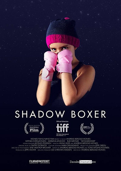 Póster de Shadow Boxer