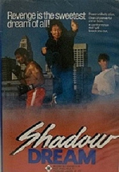 Póster de Shadow Dreams
