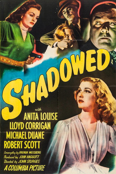 Póster de Shadowed