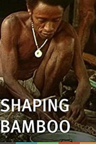 Póster de Shaping Bamboo