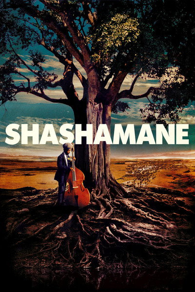 Póster de Shashamane