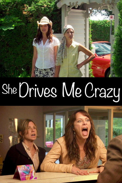 Póster de She Drives Me Crazy