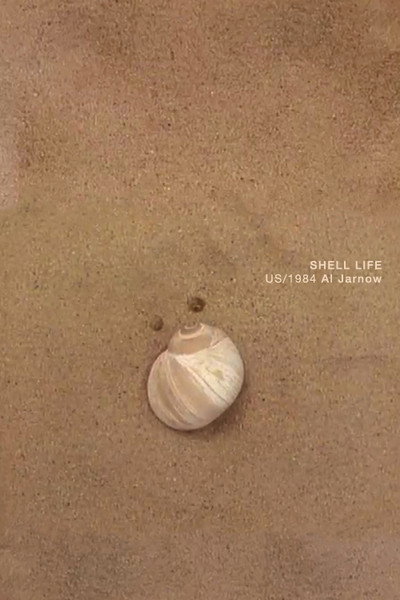 Póster de Shell Life