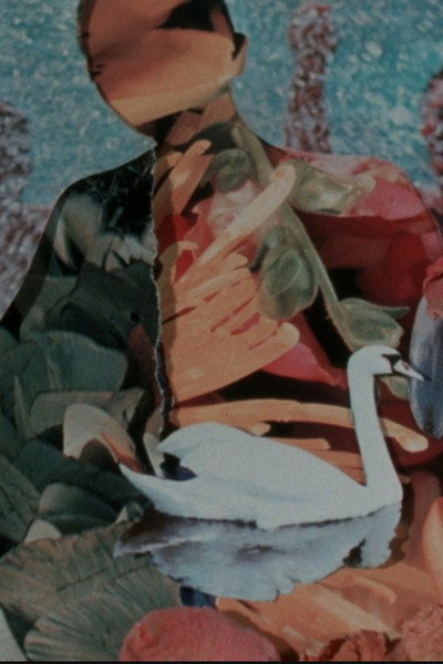Póster de Shells and Rushes