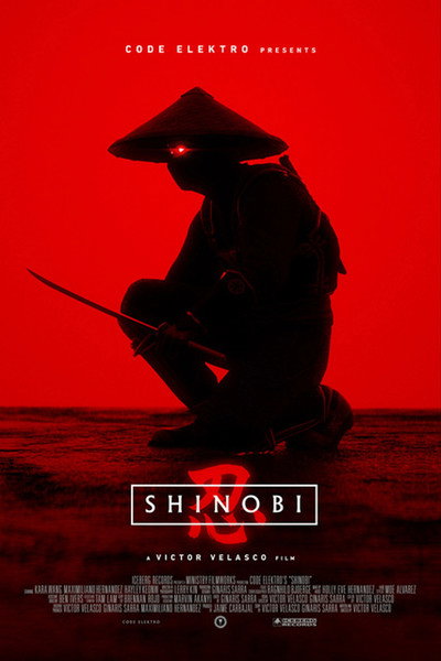 Póster de Shinobi
