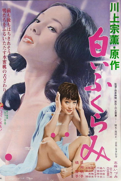Póster de Shiroi fukurami