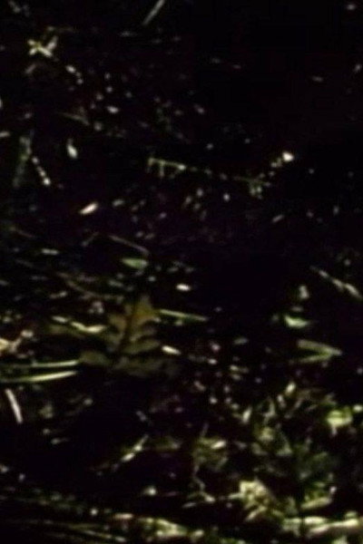 Póster de Short Films: 1975 #9