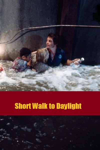 Póster de Short Walk to Daylight