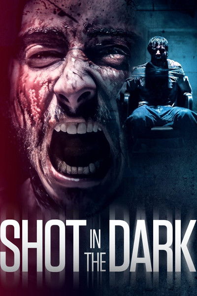 Póster de Shot in the Dark