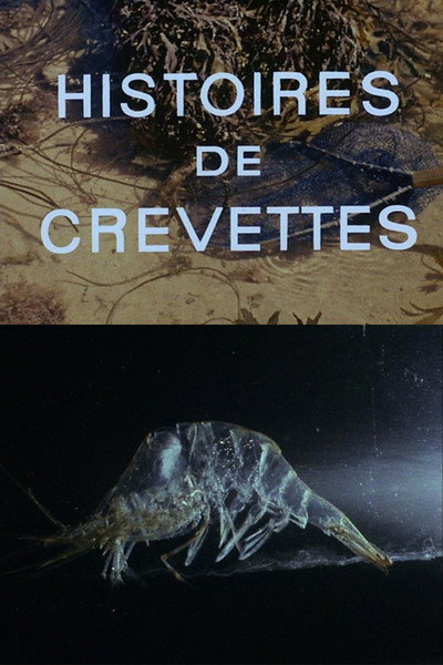Póster de Shrimp Stories
