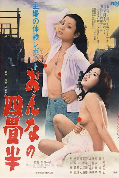 Póster de Shufu no taiken repôto: Onna no yojôhan