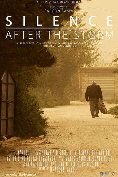 Póster de Silence After the Storm