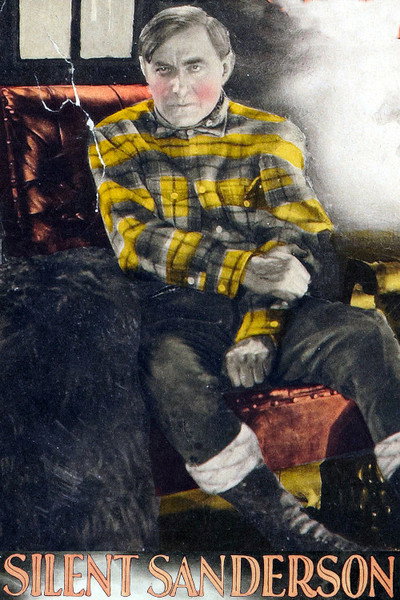 Póster de Silent Sanderson