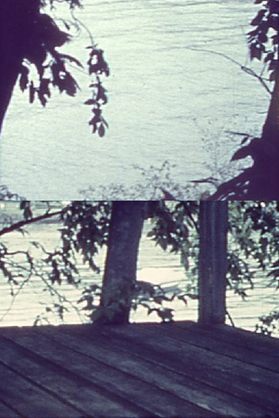 Póster de Silently, Bearing Totem of a Bird