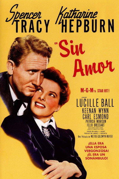 Póster de Sin amor