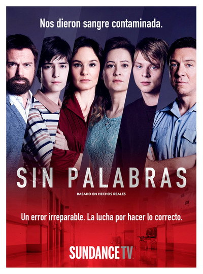 Póster de Sin palabras