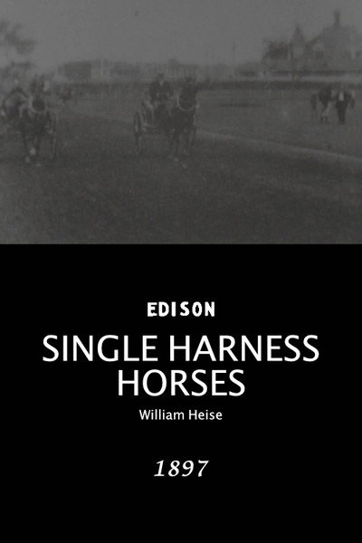 Póster de Single Harness Horses